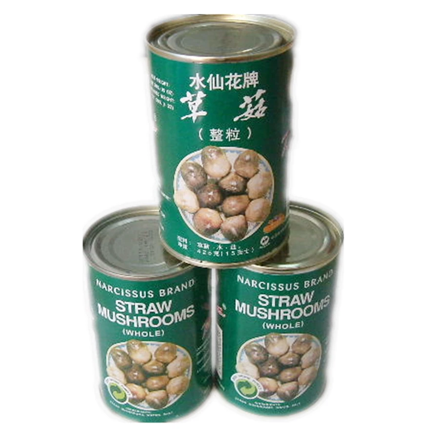 Good quality new crop canned whole straw mushrooms 425g