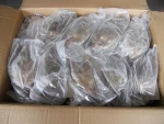 Grade AAA frozen King crab