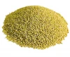 Green and Yellow Millet for sale, Red and Brown/Black  Millet High Quality, White/Green Millet