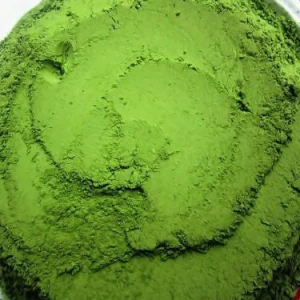 Green Young Barley Grass Leaf Juice Powder