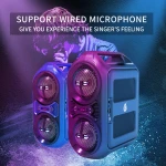 High Power Wireless LoudSpeaker Customized 20W Amplifier Speakers For Outdoor Activities