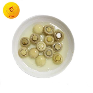 High quality canned whole button mushroom white 1 kg