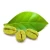 Import High Quality Fresh Green Coffee Powder from Peru from Peru