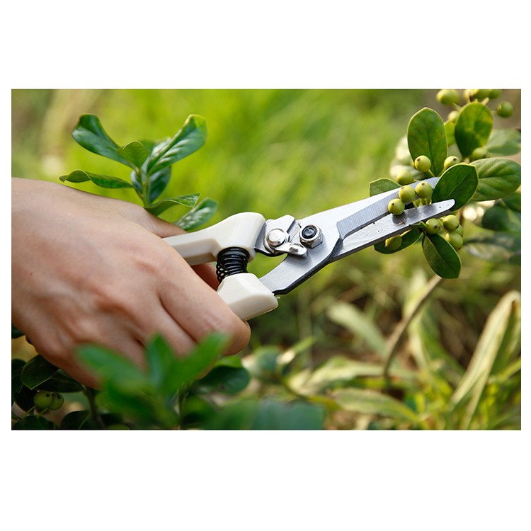High quality Garden Scissors Pruning Shears with Sharp Blade garden tools