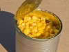 High quality Russia canned foods canned sweet corn price