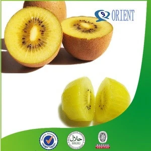 high quality Yellow kiwi fruit for plant extract