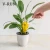 Import home flower mini potted plant Automatic Drip Irrigation Water Seepage Device Self Watering System Sprinklers from China