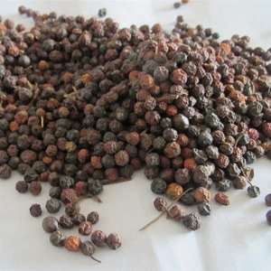 hong ye shi nan Natural Photinia Serrulata Seeds for planting