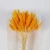 Import Hot Sale Different Color Rabbit Tail Dry Flower For Home Decoration Or Gift from China