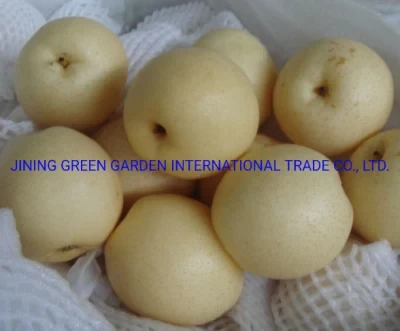 Hot Sale Hight Quality Sweet Fresh Chinese Light Yellow Ya Pear, Chinese Fresh Ya Pear