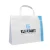 Import Hot Selling Customized Logo PP Non Woven Laminated Bag Shopping Tote Carry Bag from China