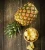 Import Indian Fresh Pineapple from India