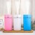 Import Indoor Desktop LED Chargeable 400ml Cool Air Humidifier from China