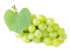 Italian origin Filtered Certified 1000 liter White Wine Vinegar