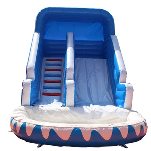 Large New Water Slides Inflatable Slides for Fun