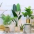 Import Lorenda PSWK01 faux chrysalidocarpus lutescens plastic madagascar potted areca artificial plam tree for home office hotel decor from China