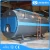 Import Low pressure natural gas fired horizontal diesel boiler steamer in industry from China