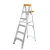 Import Low Prices Silver Color Collapsible Aluminium Material Single Side Climb Ladder from China