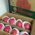 Import Malaysia Premium Fresh Red Dragon Fruit from Malaysia