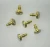 Import Manufacturing golden titanium-plated dental mini screws from China