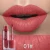 Import Miss Rose Berry Me Matte Velvet Lipgloss Pigment Colors Nude Lipglosses Brown Lipstick 24 Colors Dropshipping from China
