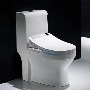 Modern luxury gold soft close bathroom automatic intelligent electric heated bidet smart toilet seat cover