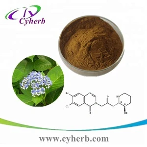 Natural Dichroa Extract 5% 98% Halofuginone  in herbal Extract