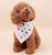 Import New arrival Bandans Beautiful Dog Accessories from China