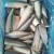 Import New Arrival Frozen Headed/Gutted/Tailed (HGT) Mackerel land frozen seafood from China