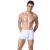 Import New Ice Silk White Seamless Elastic Breathable Boxer Briefs for Men from China