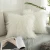 Import New Luxury Series Merino Style Off-White Fur Throw Pillow Case Cushion Cover Pillow Cover from China