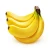 New price 2020 Fresh cavendish banana from Turkey packing boxes