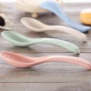 New product Wheat Straw Plastic Micro Matcha Sugar Spoon