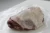 Import New Zealand frozen halal lamb, Mutton meat from Netherlands