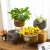 Import Newest selling retro country hotel decoration plastic hand knitting flower basket from China