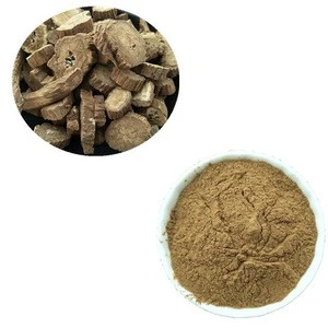 Lowest Supply of Fresh Burdock Root Extract Powder in Best Price
