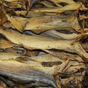 Nutrition Quality Dry Stock Fish Available for Sale