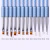 Import OEM ODM Transparent Pearl Blue Handle UV Gel Acrylic Nail Art Brush from China