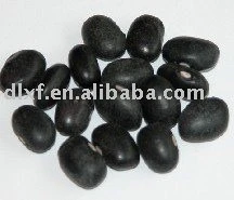organic black kidney bean