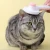 Import Pet Cleaning Massage Deshedding Comb Cat Dog Hair Brush Pet Hair Remover Brush from China