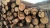 Import PINE Wood logs Birch Wood Logs Spruce Wood Logs from United Kingdom