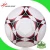 Import Pisces custom print team sports wholesale soccer ball from China