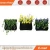 Import Plant growing ideas,mini vertical garden supplies from China