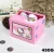 Import Poke-mon Animal Piggy Bank Cat Steal Money Coin Saving Box Pot Case Battery Operated Gift Perfect Piggy from China