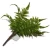 Import Popular indoor plastic plant bonsai artificial plant for home decoration from China