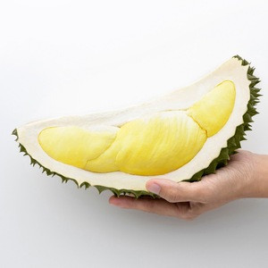 Premium Grade Fresh Durian from Thailand
