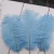 Import Premium Grade Ostrich Feathers plume / PHEASANT TAIL FEATHERS from South Africa