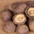 Import price for organic mushroom dry shiitake dried shiitake mushroom from China