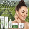 Private Label Korea Cosmetic Hydrating Creams Organic Tea Tree Skin Care Facial Set Face Cream For Acne