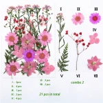 Queen annes lace rose chrysanthemum daisy delphinium real dried pressed flowers for resin crafts frame phone case making
